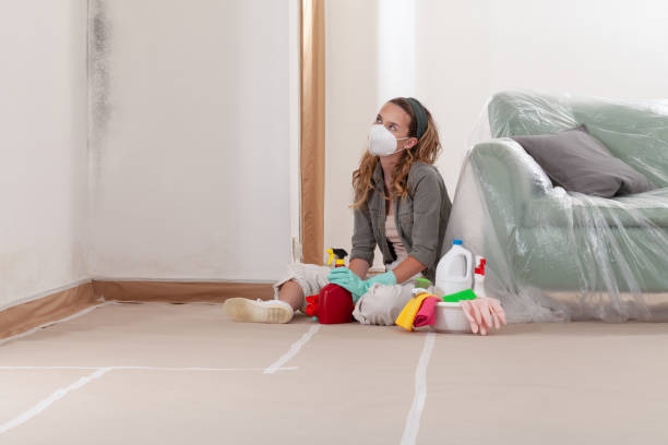Reliable Mold Inspection contractor in Chaska, MN by WQB Mold Removal